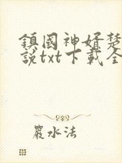 镇国神婿楚尘小说txt下载全文