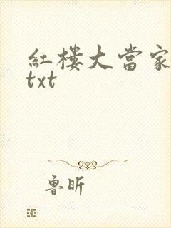 红楼大当家全文txt