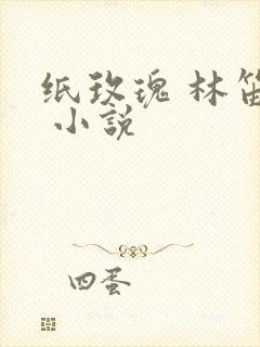 纸玫瑰 林笛儿 小说