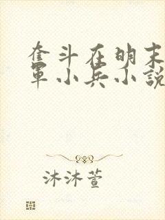 奋斗在明末的边军小兵小说