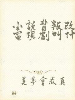 小说背叛改编的电视剧叫什么