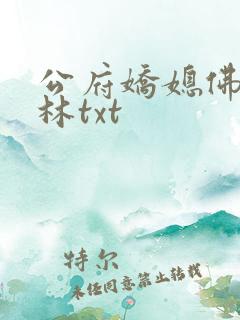 公府娇媳佛衣归林txt