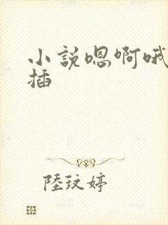 小说嗯啊哦舔含插