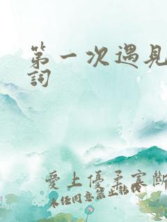 第一次遇见你歌词