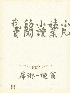 我的小姨小说免费阅读叶凡