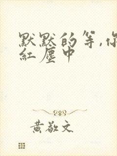 默默的等,你在红尘中