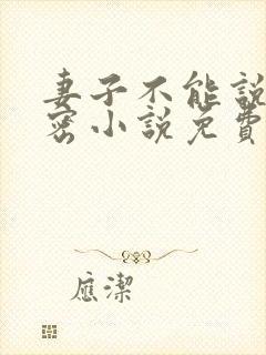 妻子不能说的秘密小说免费阅读