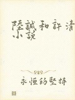 陆诚和许清瑶的小说