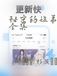 秘密的姐弟漫画全集：结局+番外