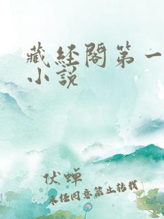 藏经阁第一版主小说