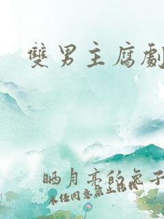 双男主腐剧台剧