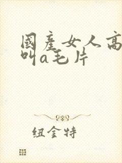 国产女人高潮大叫a毛片