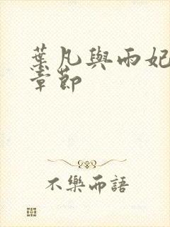 叶凡与雨妃最新章节