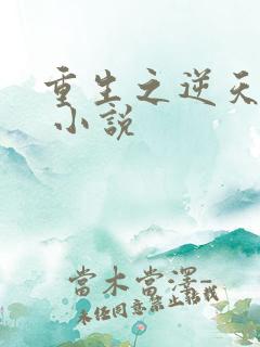 重生之逆天邪妃 小说