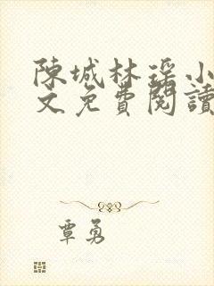 陈城林瑶小说全文免费阅读无弹窗