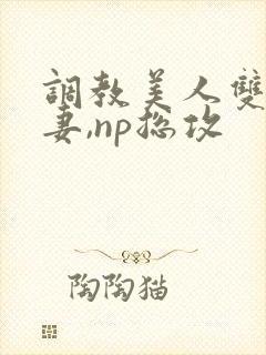 调教美人双性男妻,np总攻