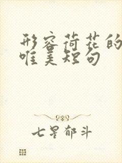 形容荷花的句子唯美短句