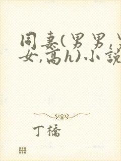 同妻(男男,男女,高h)小说