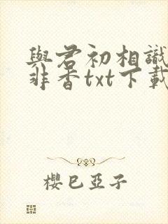 与君初相识九鹭非香txt下载
