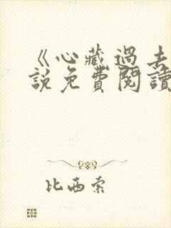 《心藏过去》小说免费阅读