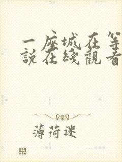 一座城在等你小说在线观看