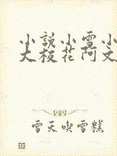 小说小雪小柔两大校花阿文