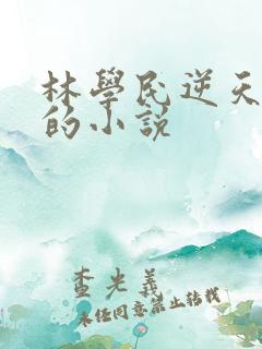 林学民逆天改命的小说