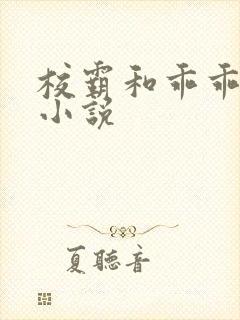 校霸和乖乖女的小说