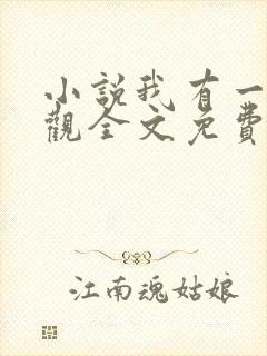 小说我有一剑叶观全文免费阅读