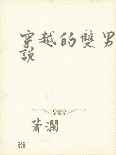 穿越的双男主小说