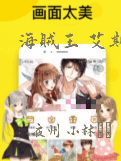 海贼王 艾斯：结局+番外