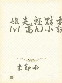 姐夫,轻点要(1v1 高h)小说