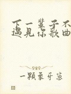 下一辈子不一定遇见你歌曲原唱