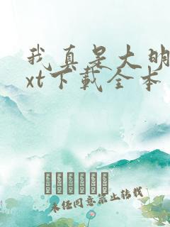 我真是大明星txt下载全本