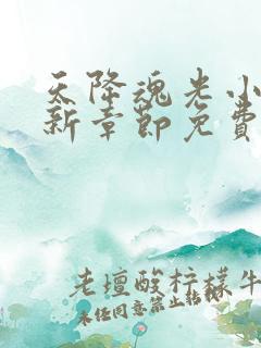 天降魂光小说最新章节免费阅读全文