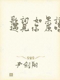 歌词 如果让我遇见你 原唱