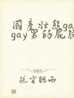 国产壮熊gaygay男的屁股网站