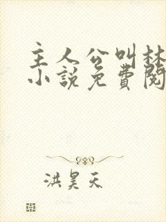 主人公叫林凡的小说免费阅读