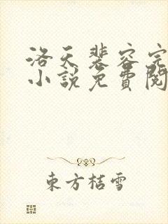 洛天裴容完整版小说免费阅读