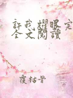 许我耀眼完整版全文阅读