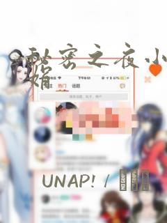 秘密之夜小说小娟：结局+番外