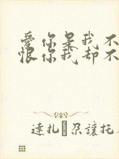 爱你是我不小心恨你我却不忍心是什么歌