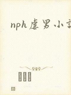 nph虐男小说
