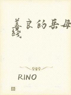 善良的岳母 在线