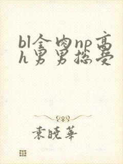 bl全肉np高h男男总受