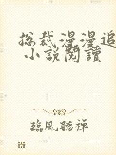 总裁漫漫追妻路 小说阅读