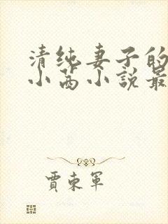 清纯妻子的改变小茜小说最新章节