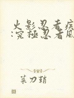 火影忍者疾风传:究极忍者风暴遗产