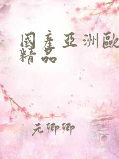 国产亚洲欧美的精品