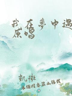 我在梦中遇见你原唱